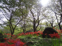窪野町にて②