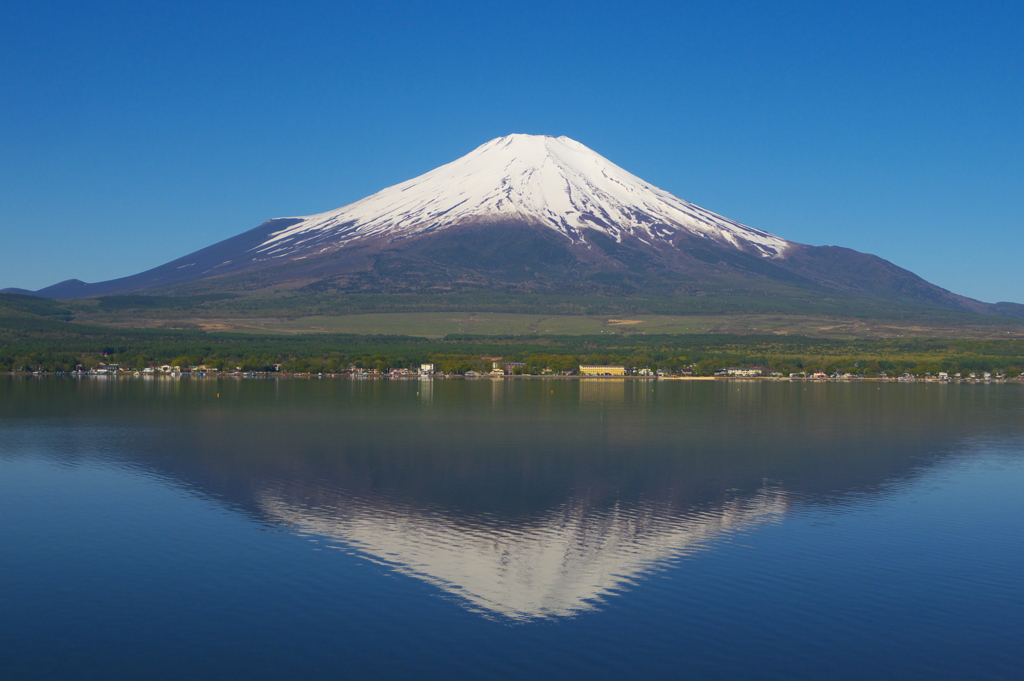 山中湖から逆さ富士