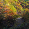 秋を探しに秩父へ3