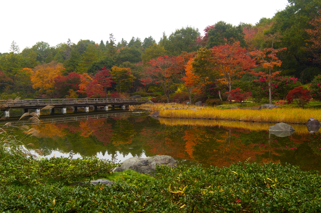 昭和記念公園の秋を散策2