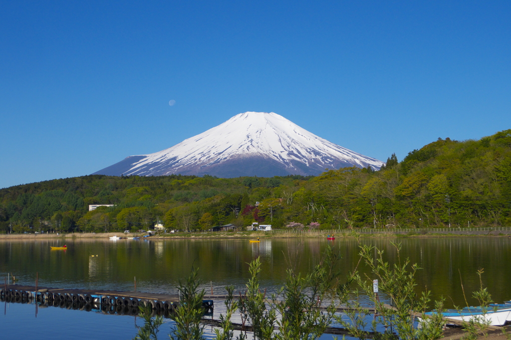 山中湖より富士山
