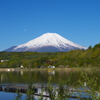 山中湖より富士山