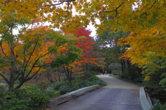 昭和記念公園の秋を散策5