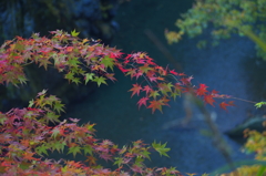 秋を探しに秩父へ1