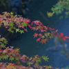 秋を探しに秩父へ1