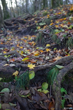 R0022488