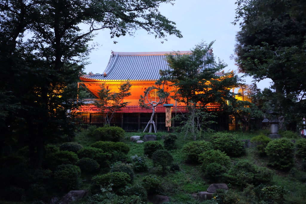 上野公園_20140623