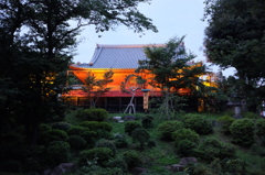 上野公園_20140623
