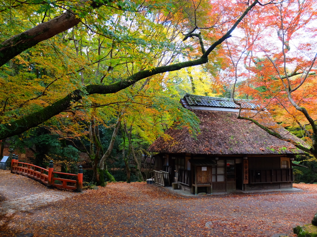 Nara 