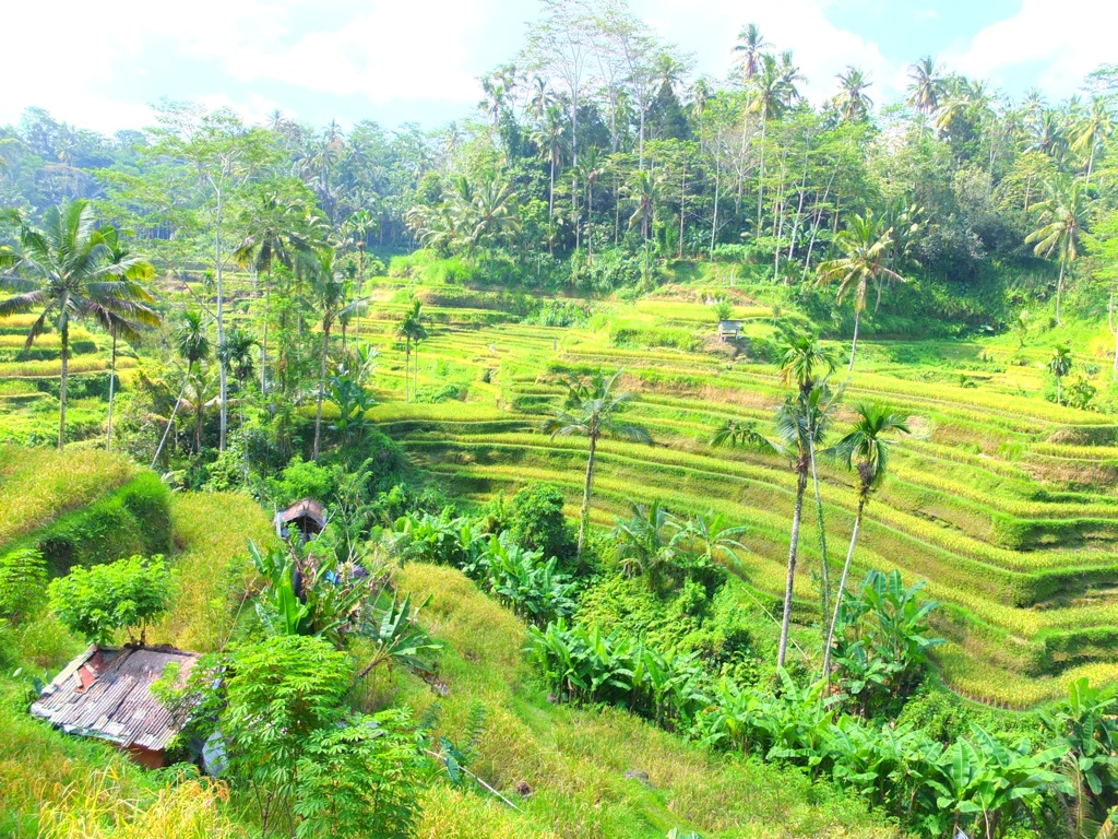 Bali 