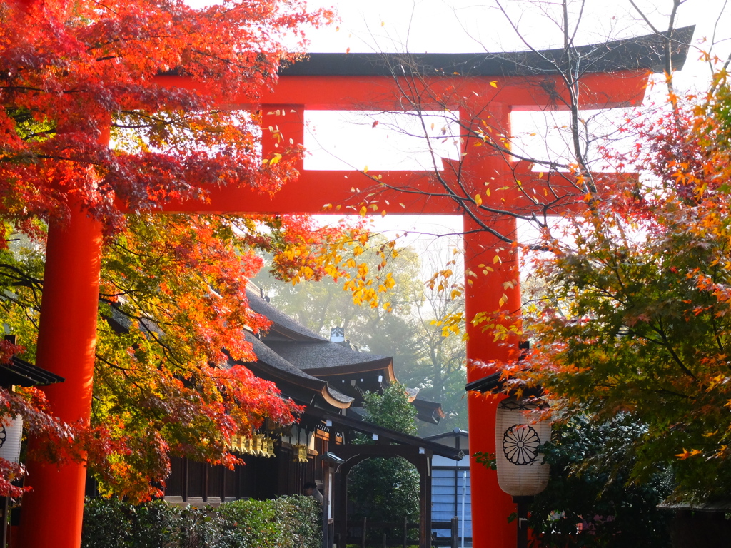 下鴨神社