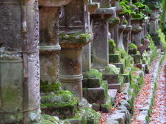 シカ