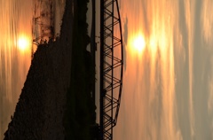 夕日
