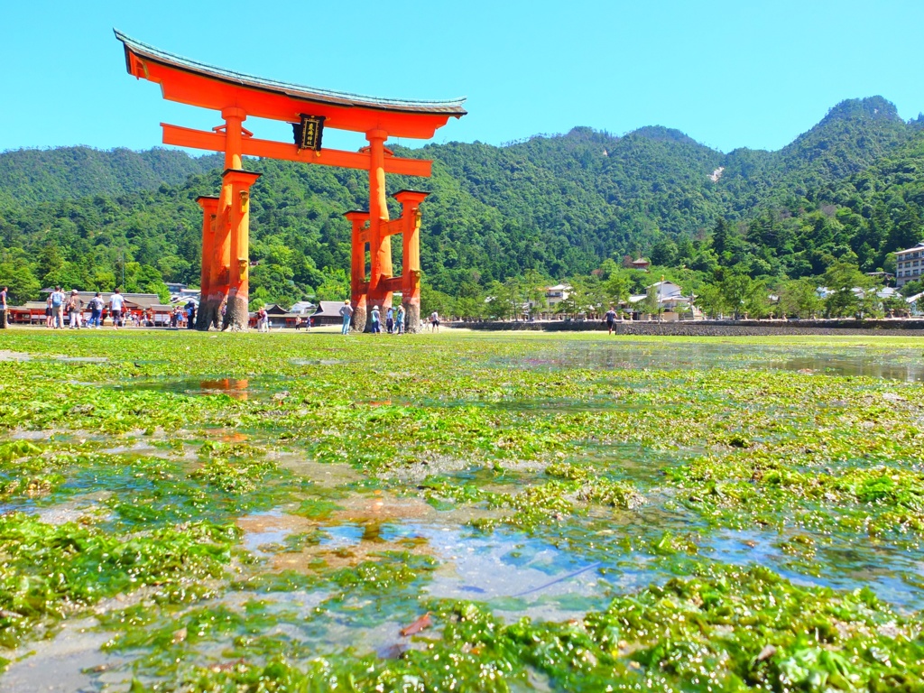 宮島