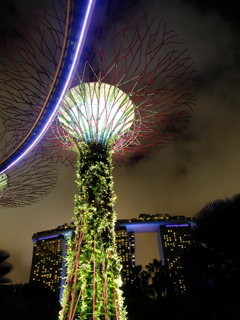 Singapore night 