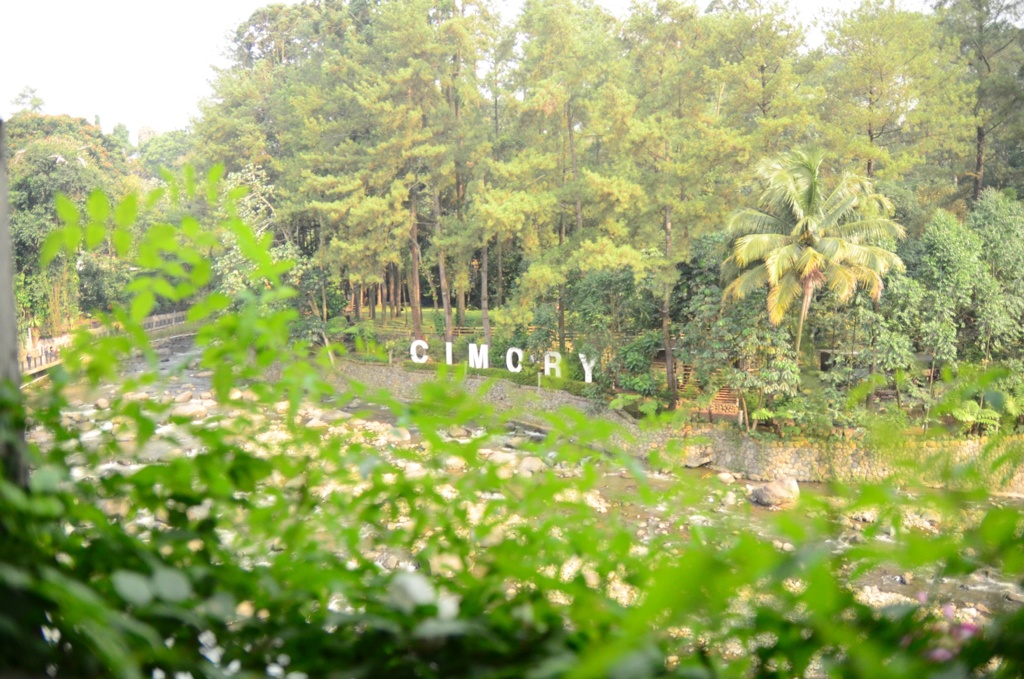Cimory 