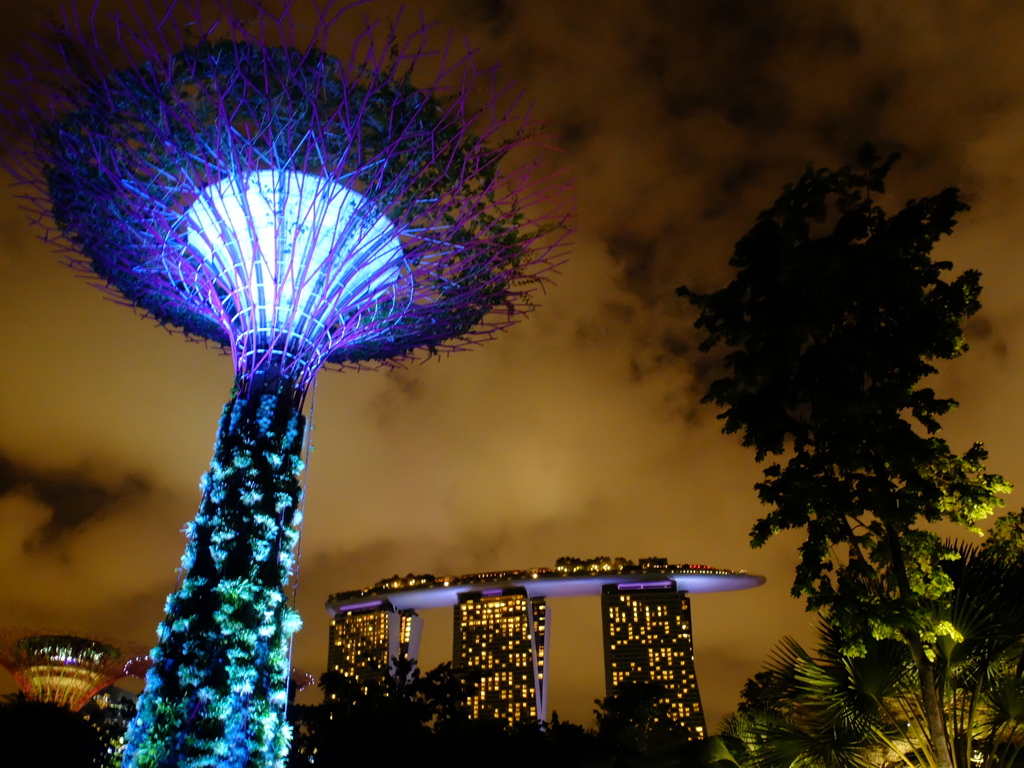 Singapore night 