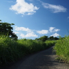 道