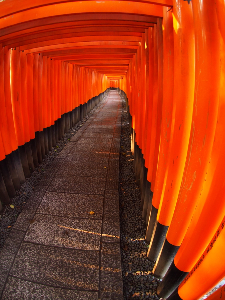 千本鳥居