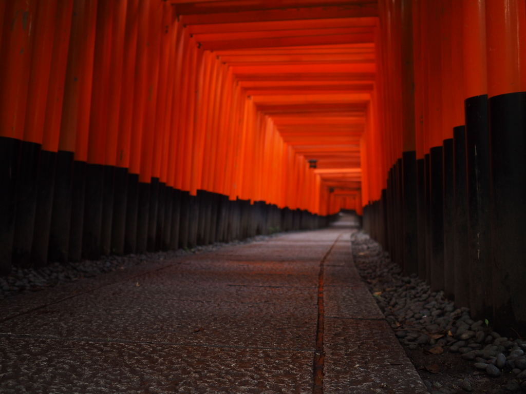 千本鳥居