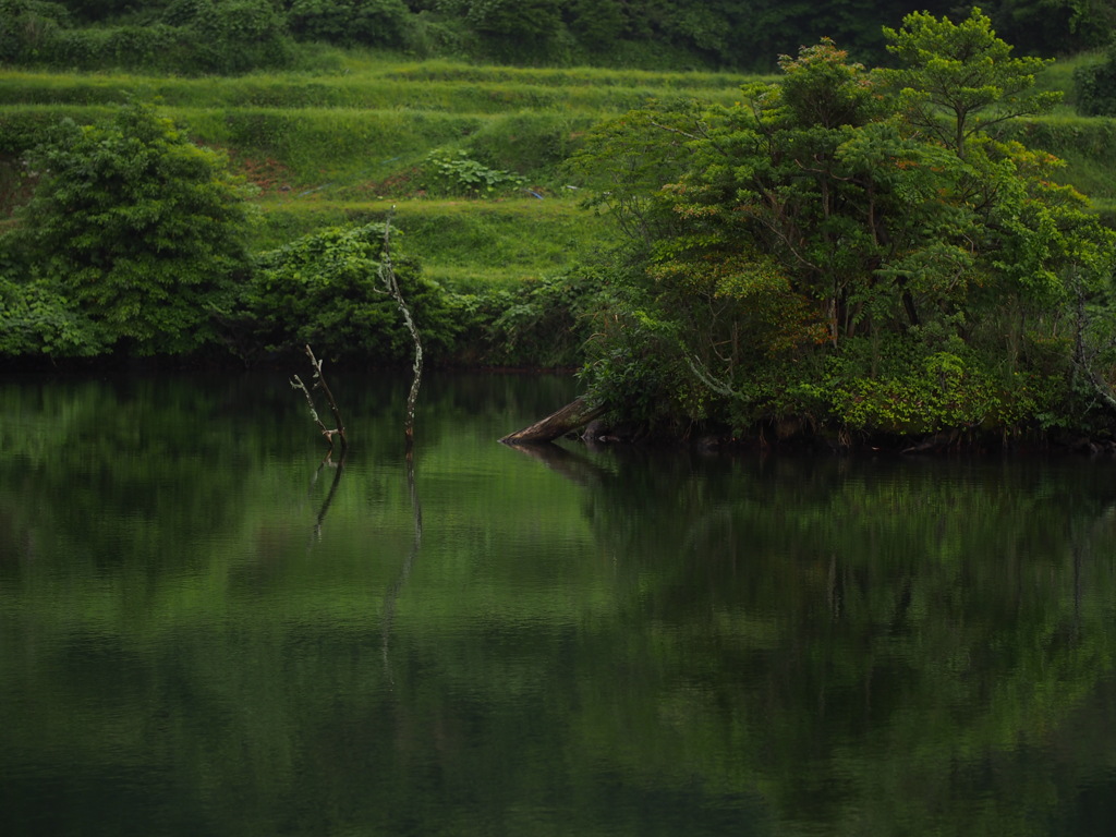 小島