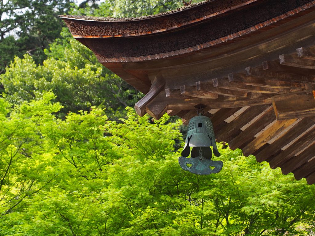 瑠璃光寺・五重塔