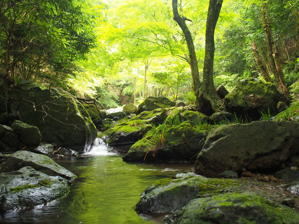 水面