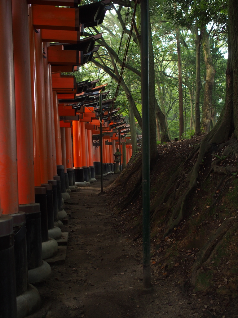 千本鳥居