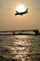 飛行機