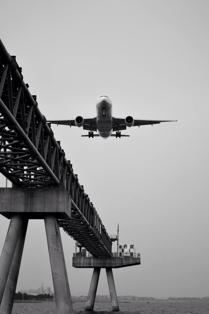 飛行機