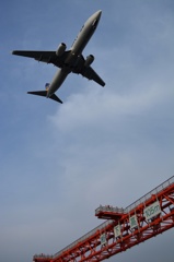 飛行機