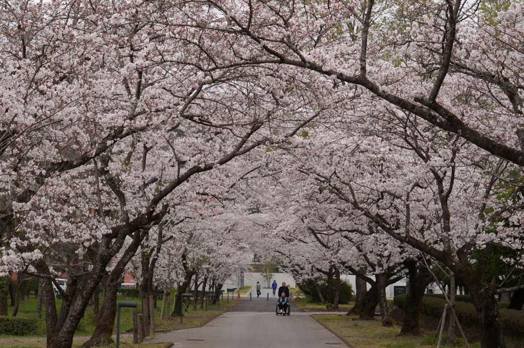 鏡公園