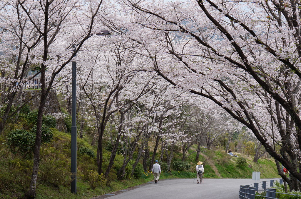 岡豊城跡