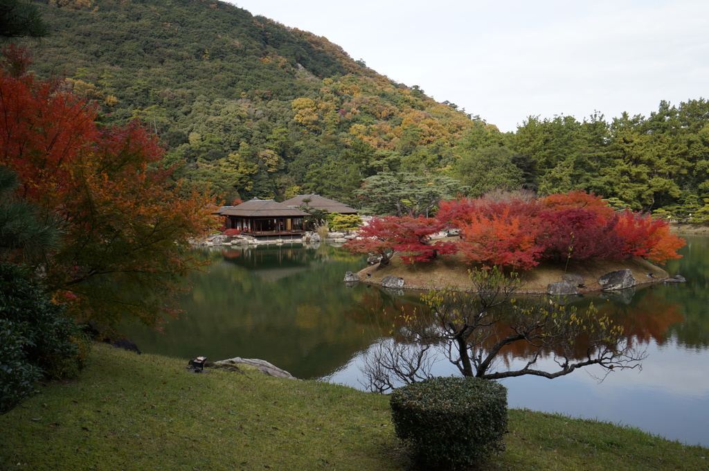 栗林公園の紅葉