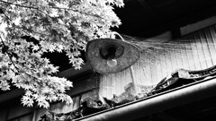 無住の家１