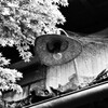 無住の家１