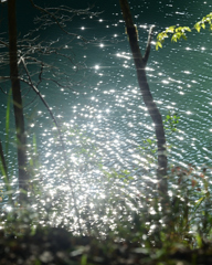秋麗