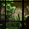 京都街中カフェ2