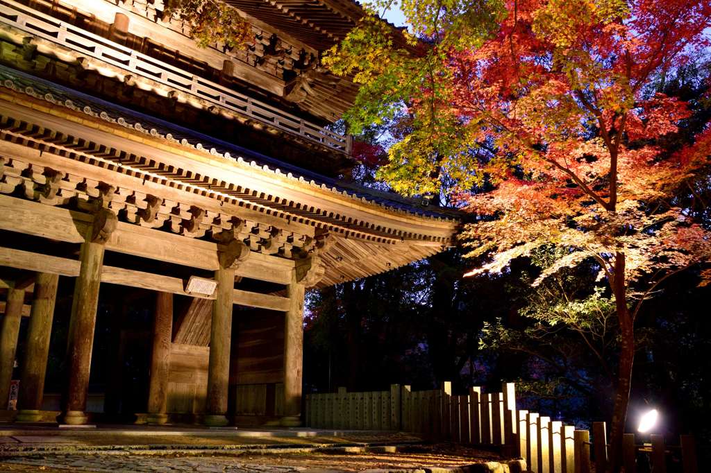 永源寺の紅葉 ライトアップ 1 By 愛タレ Id 写真共有サイト Photohito 永源寺の紅葉 ライトアップ 1 By 愛タレ Id 写真共有サイト Photohito