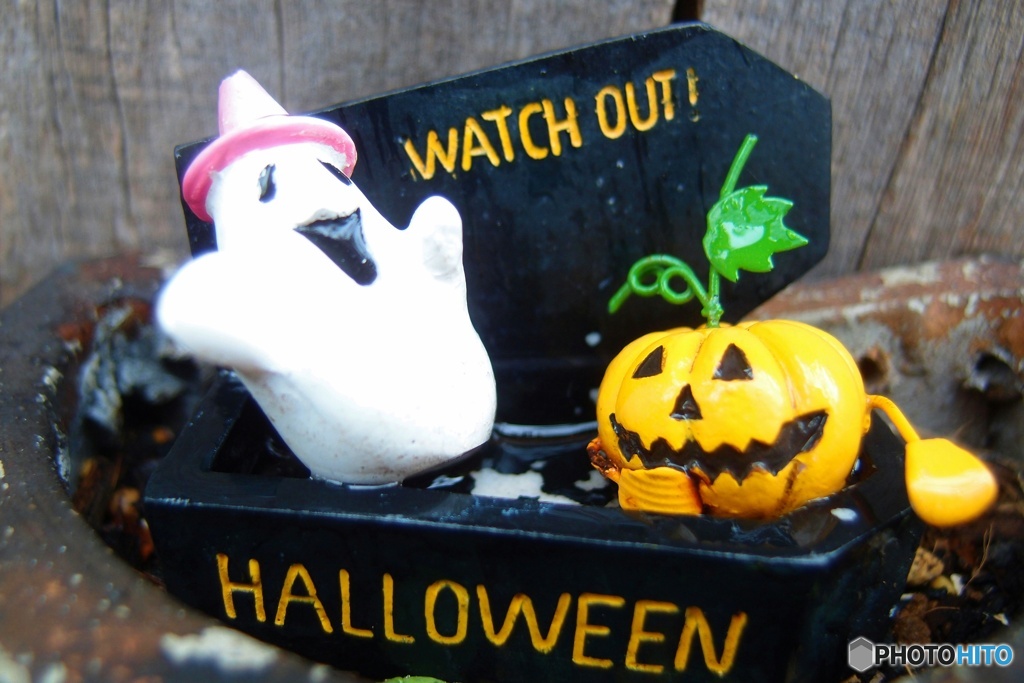 ハロウィン