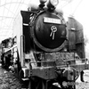 D51 296