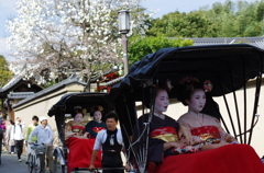 IMGP0736