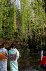 IMGP0830