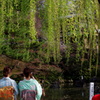 IMGP0830