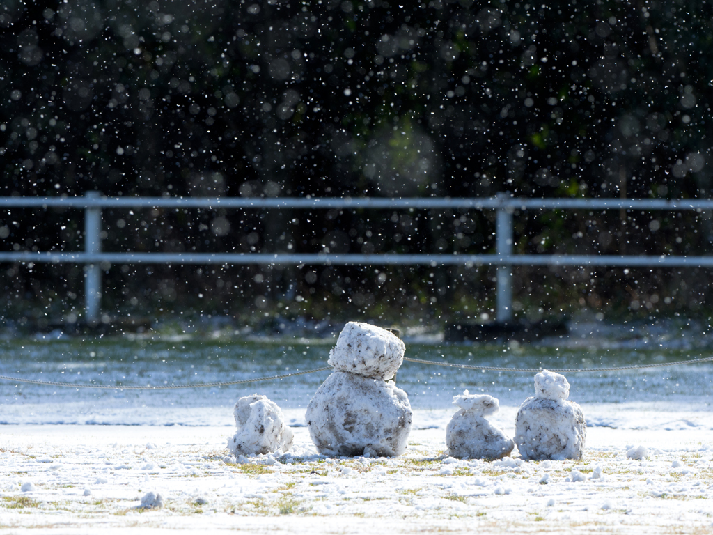 雪遊び