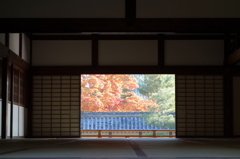 寺から見る紅葉