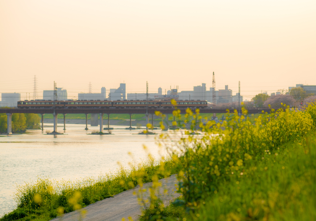 河川敷にも春