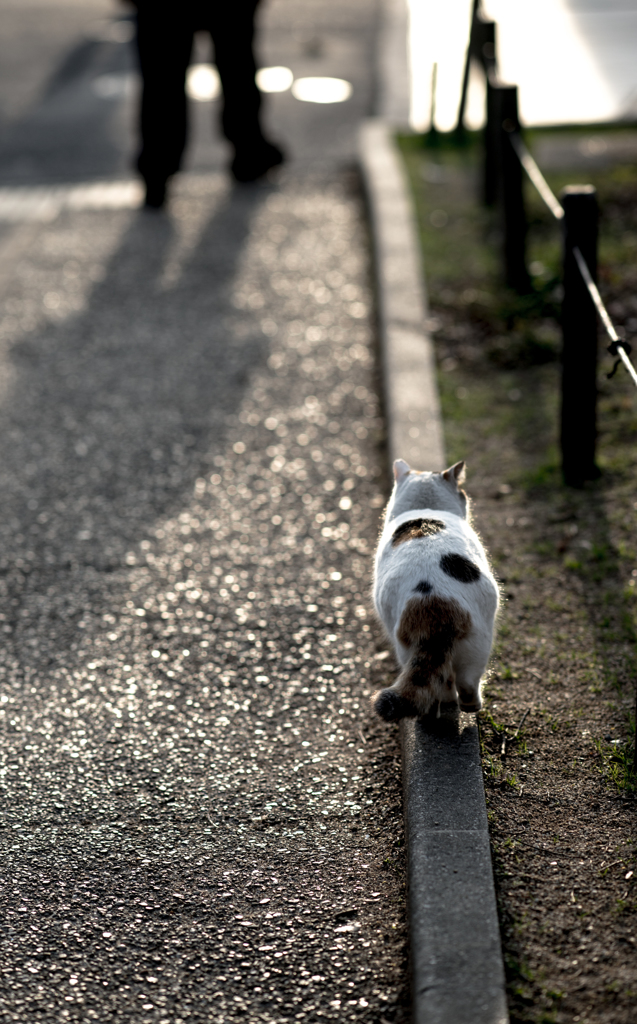 歩道