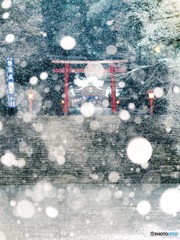 雪日