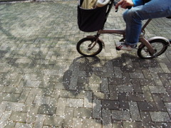 ２０１４０４０６花びらの小径